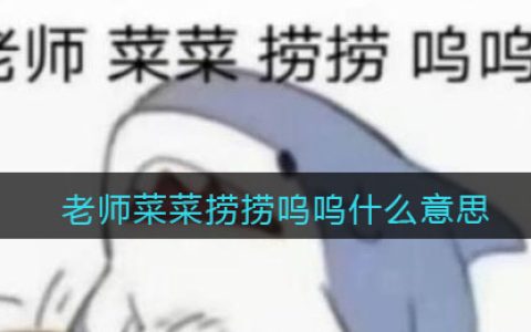 老师菜菜捞捞呜呜什么意思 热梗含义分享