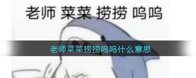 老师菜菜捞捞呜呜什么意思 热梗含义分享