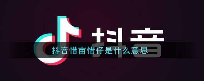 抖阴惜亩惜仔是什么意思 抖阴惜亩惜仔意思介绍图