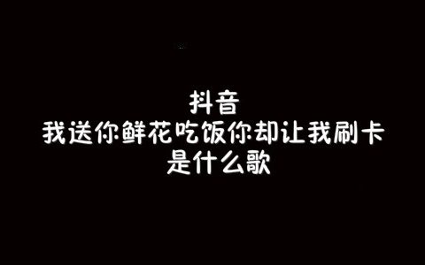 抖阴我送你鲜花吃饭你却让我刷卡歌曲介绍 好男人都死哪儿去了歌曲歌词