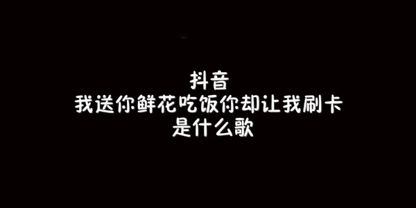 抖阴我送你鲜花吃饭你却让我刷卡歌曲介绍 好男人都死哪儿去了歌曲歌词