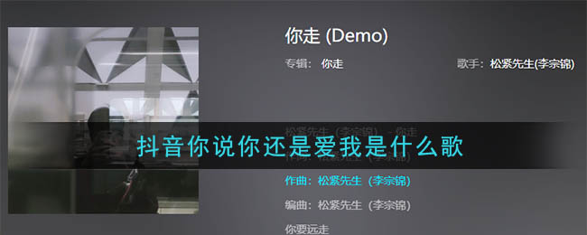 《抖阴》你说你还是爱我歌曲介绍 抖阴歌曲歌词