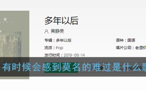 有时候会感到莫名的难过是什么歌 <strong>多年以后</strong>歌曲歌词