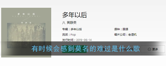 有时候会感到莫名的难过是什么歌 <strong>多年以后</strong>歌曲歌词