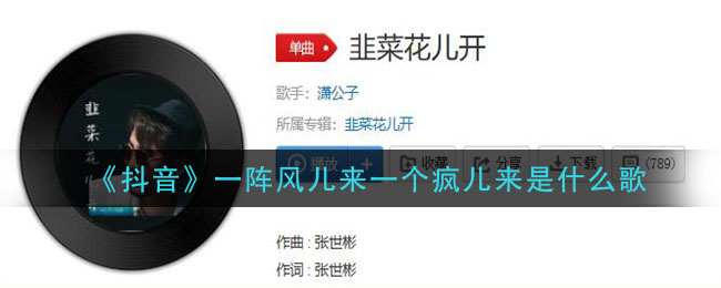 《抖阴》一阵风儿来一个疯儿来是什么歌 抖阴歌曲歌词