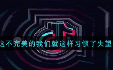 《抖阴》这不完美的我们就这样习惯了失望是什么歌 抖阴歌曲歌词