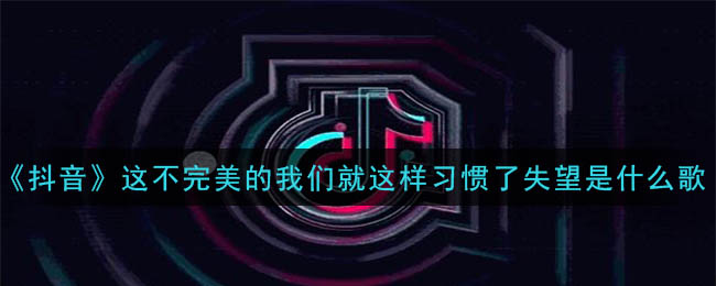 《抖阴》这不完美的我们就这样习惯了失望是什么歌 抖阴歌曲歌词