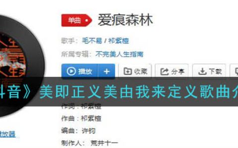 《抖阴》美即正义美由我来定义歌曲介绍 抖阴歌曲歌词