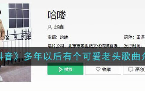 《抖阴》多年以后有个可爱老头歌曲介绍 抖阴歌曲歌词