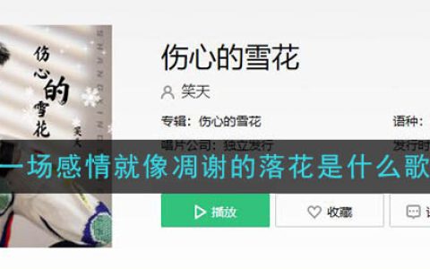 《抖阴》一场感情就像凋谢的落花歌曲介绍 抖阴歌曲歌词