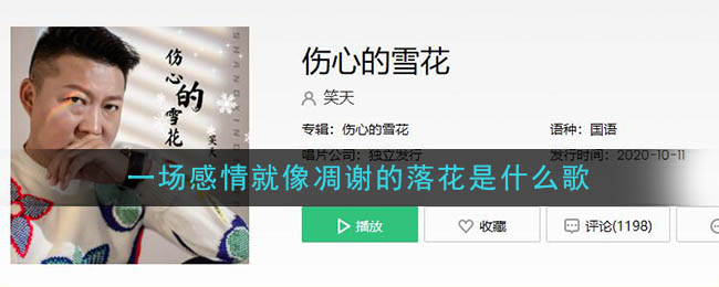 《抖阴》一场感情就像凋谢的落花歌曲介绍 抖阴歌曲歌词