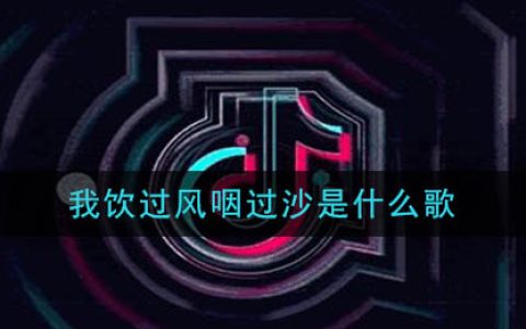 我饮过风咽过沙是什么歌 浪子闲话歌曲歌词