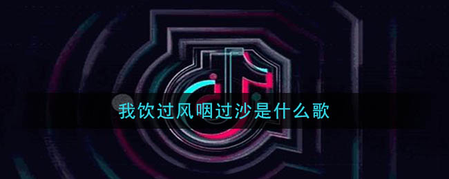 我饮过风咽过沙是什么歌 浪子闲话歌曲歌词
