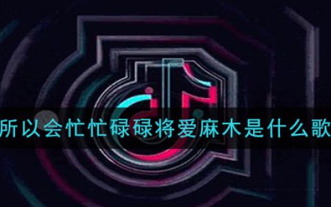 所以会忙忙碌碌将爱麻木是什么歌 执迷不悟歌曲歌词