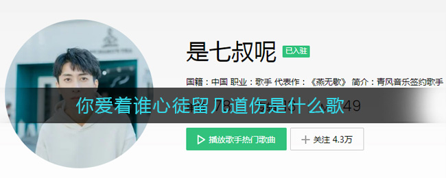 《抖阴》你爱着谁心徒留几道伤是什么歌 抖阴歌曲歌词