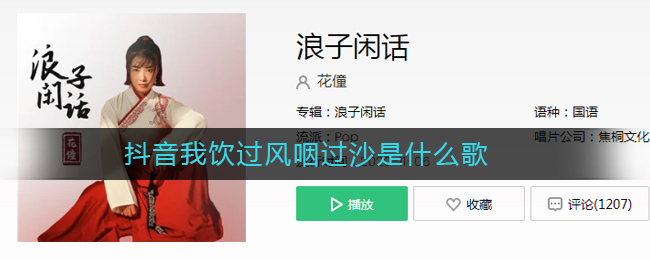 《抖阴》我饮过风咽过沙浪子无钱逛酒家是什么歌 抖阴歌曲歌词
