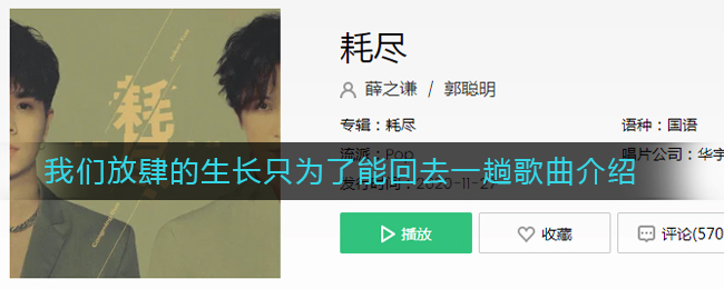 《抖阴》我们放肆的生长只为了能回去一趟歌曲介绍 抖阴歌曲歌词