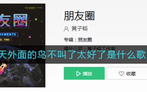 《抖阴》今天外面的鸟不叫了太好了是什么歌 抖阴歌曲歌词