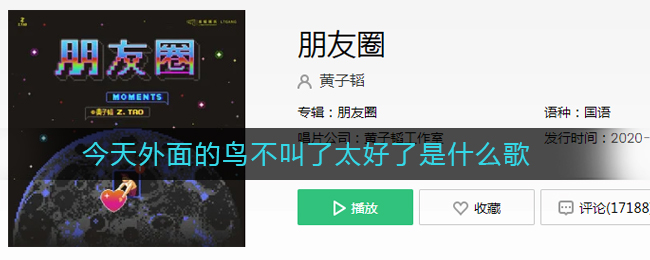 《抖阴》今天外面的鸟不叫了太好了是什么歌 抖阴歌曲歌词