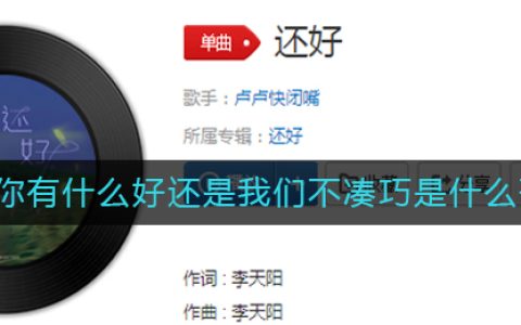《抖阴》我一个人还好只是不再爱笑是什么歌 抖阴歌曲歌词