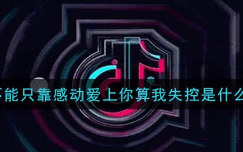 爱不能只靠感动爱上你算我失控是什么歌 失控歌曲歌词