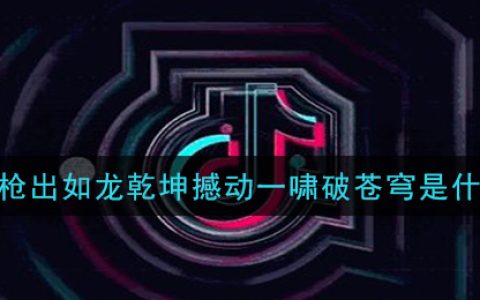 而我枪出如龙乾坤撼动一啸破苍穹是什么歌 踏山河歌曲歌词