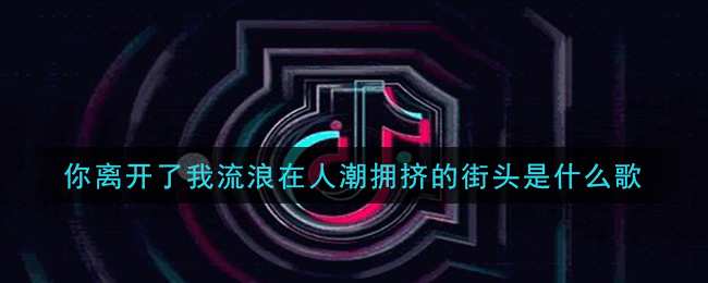 你离开了我流浪在人潮拥挤的街头是什么歌 陨落歌曲歌词