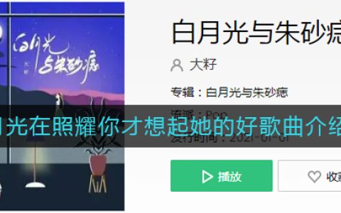 《抖阴》白月光在照耀你才想起她的好歌曲介绍 抖阴歌曲歌词