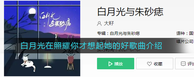 《抖阴》白月光在照耀你才想起她的好歌曲介绍 抖阴歌曲歌词