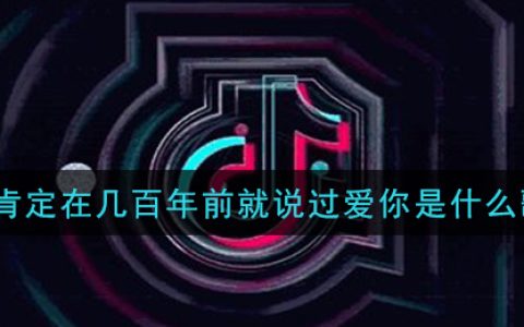 我肯定在几百年前就说过爱你是什么歌 爱人错过歌曲歌词