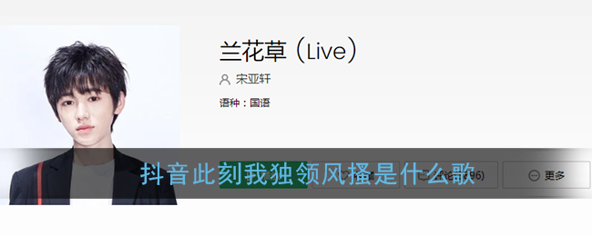抖阴此刻我独领风搔是什么歌 兰花草歌曲歌词