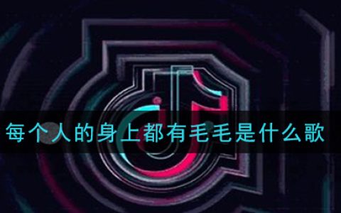 每个人的身上都有毛毛是什么歌 毛毛歌歌曲歌词