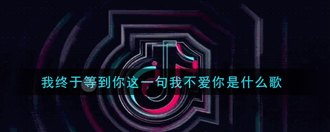 我终于等到你这一句我不爱你是什么歌 终于等到这一句歌曲歌词