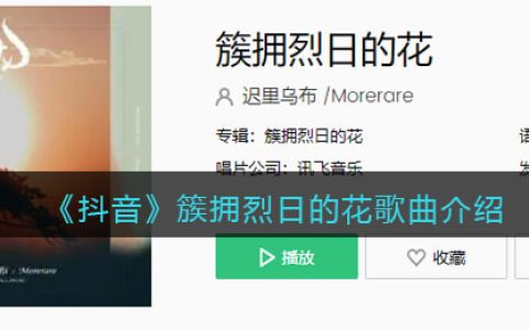 《抖阴》簇拥烈日的花歌曲介绍 簇拥烈日的花歌曲歌词