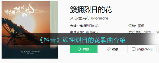 《抖阴》簇拥烈日的花歌曲介绍 簇拥烈日的花歌曲歌词