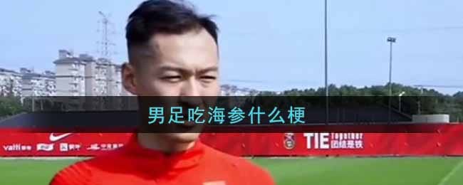 男足吃海参什么梗 男足吃海参是什么意思