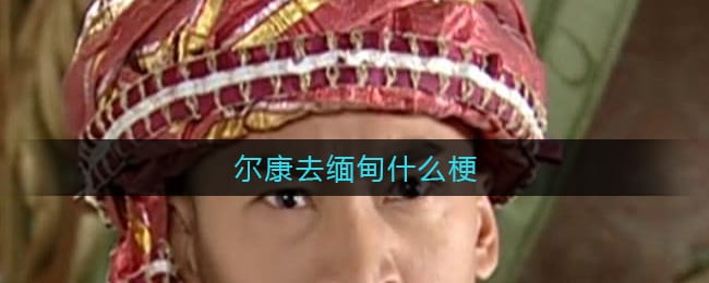 尔康去缅甸什么梗 尔康在缅甸都经历了什么