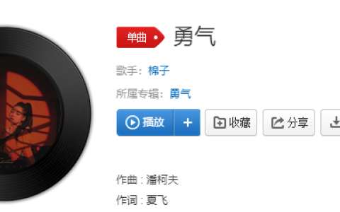 抖阴我爱你无畏人海的拥挤是什么歌 勇气歌曲歌词