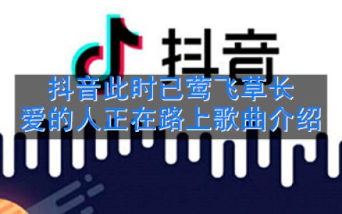 抖阴此时已莺飞草长爱的人正在路上歌曲介绍 世间美好与你环环相扣歌曲歌词