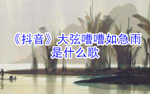 《抖阴》大弦嘈嘈如急雨是什么歌 抖阴歌曲歌词