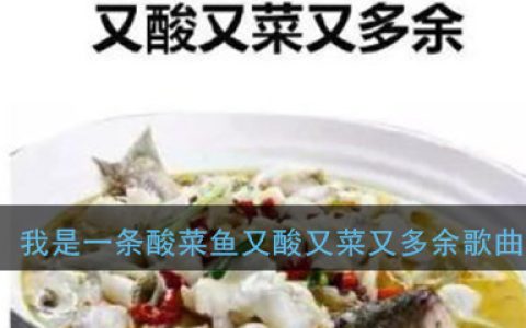 《抖阴》我是一条酸菜鱼又酸又菜又多余歌曲分享 抖阴歌曲歌词