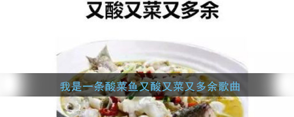 《抖阴》我是一条酸菜鱼又酸又菜又多余歌曲分享 抖阴歌曲歌词