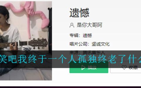 可笑吧我终于一个人孤独终老了什么歌 遗憾歌曲歌词