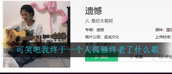 可笑吧我终于一个人孤独终老了什么歌 遗憾歌曲歌词
