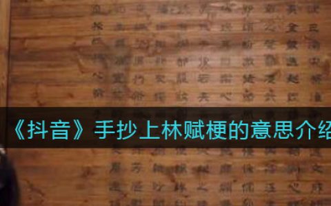 手抄上林赋什么含义 抖阴手抄上林赋是什么梗