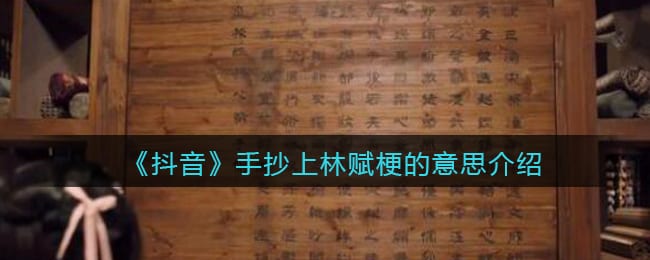 手抄上林赋什么含义 抖阴手抄上林赋是什么梗