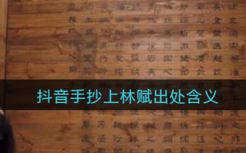 手抄上林赋得心上人什么梗 抖阴手抄上林赋出处含义