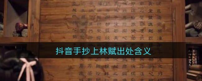 手抄上林赋得心上人什么梗 抖阴手抄上林赋出处含义