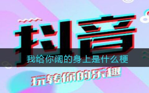 我给你阔的身上是什么梗 我给你阔的身上什么意思含义