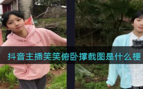笑笑俯卧撑截图是什么梗 抖阴主播笑笑俯卧撑截图什么意思含义